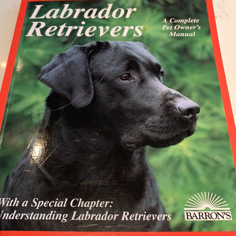 Labrador Retrievers 🐾 Complete Owners Manual🐶